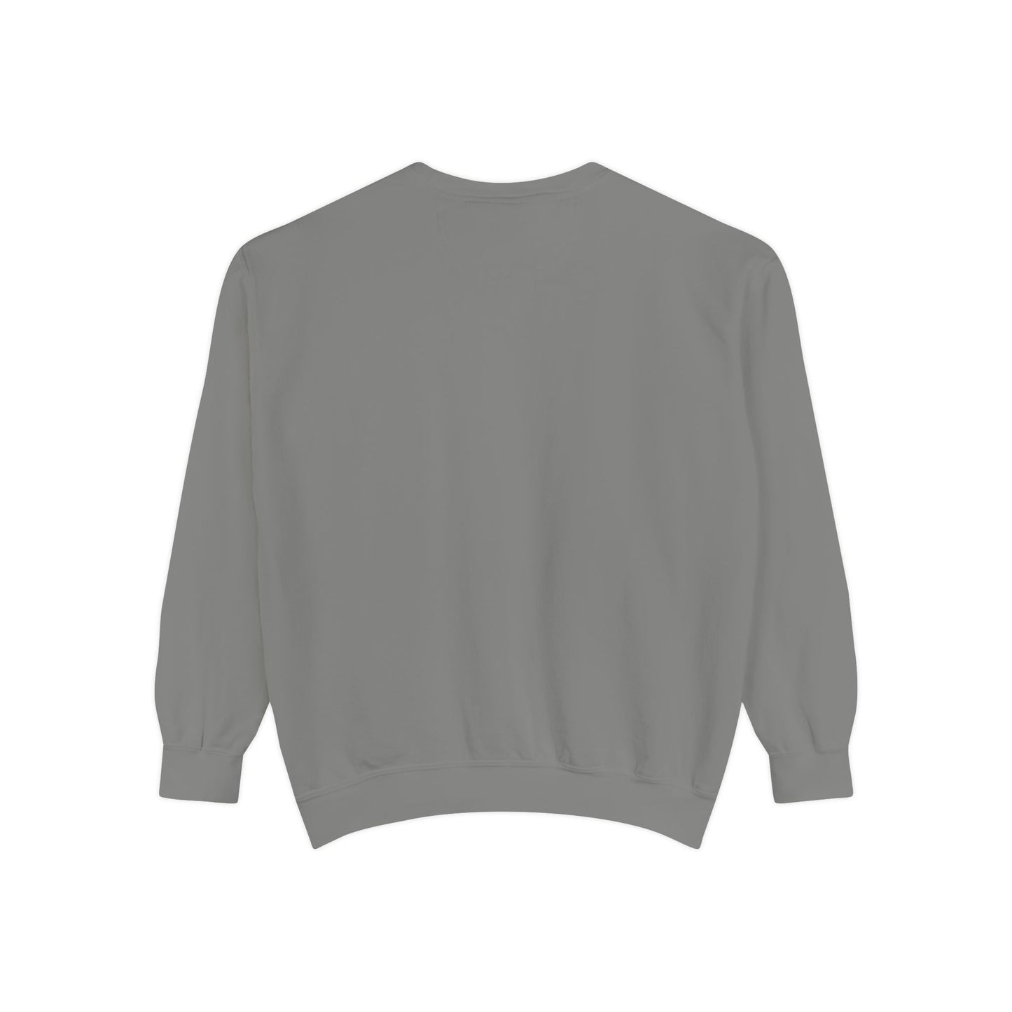 Religious Sweatshirt - JESUS Lives Design