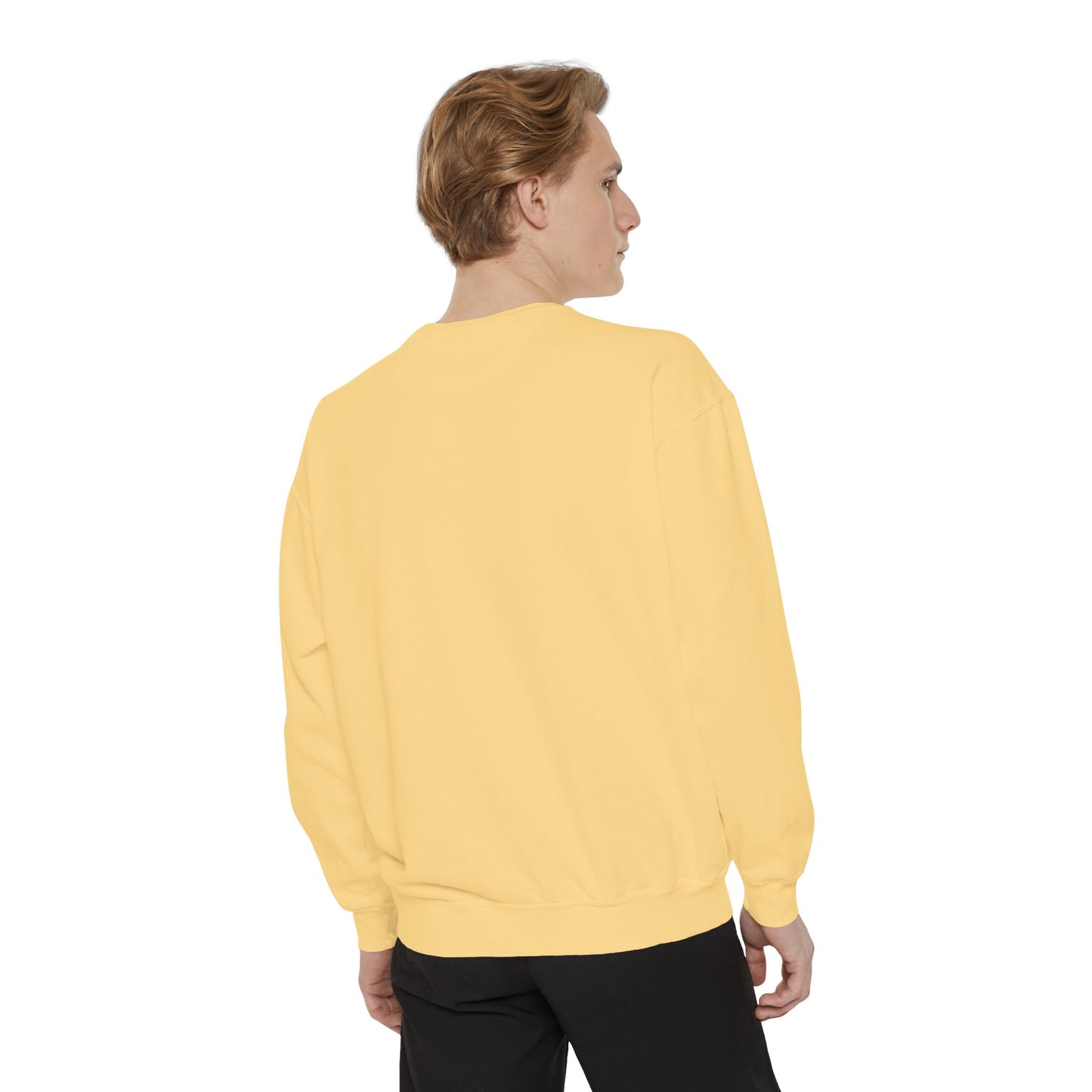 Religious Sweatshirt - JESUS Lives Design