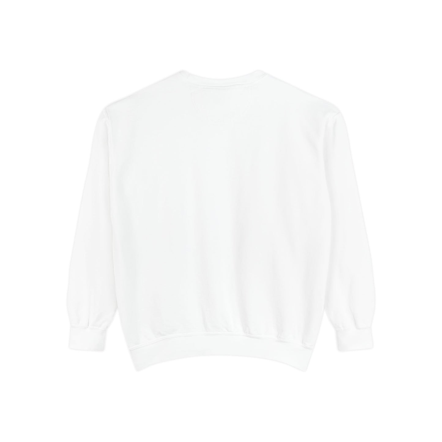 Religious Sweatshirt - JESUS Lives Design