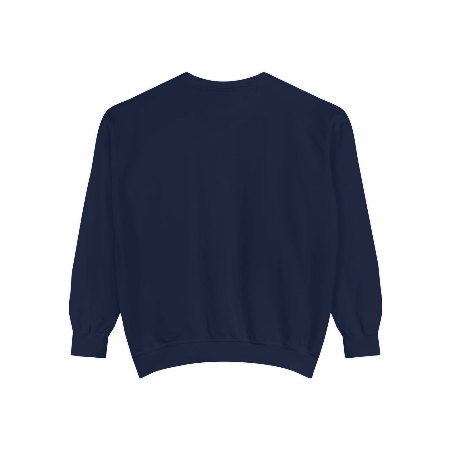Religious Sweatshirt - JESUS Lives Design