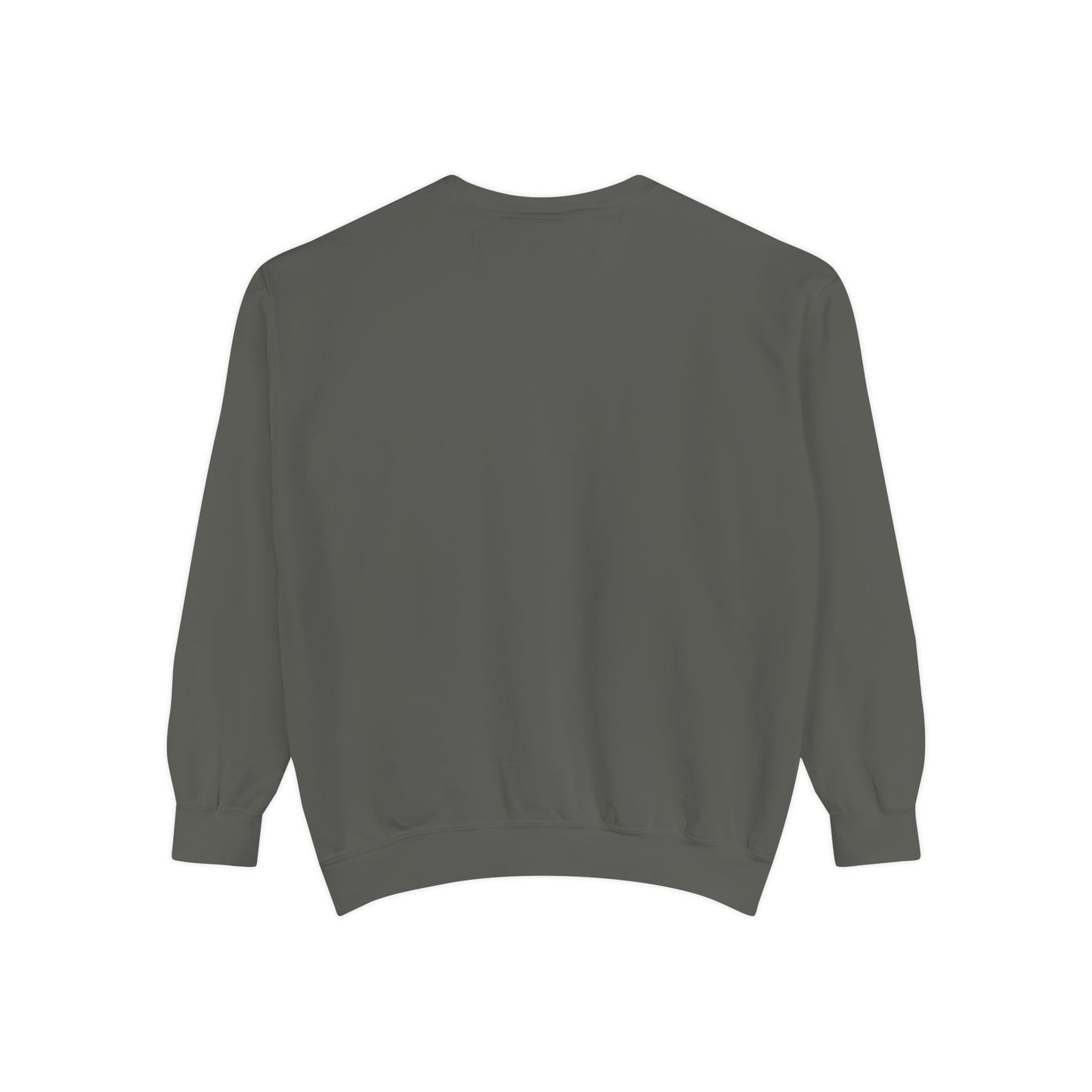Religious Sweatshirt - JESUS Lives Design