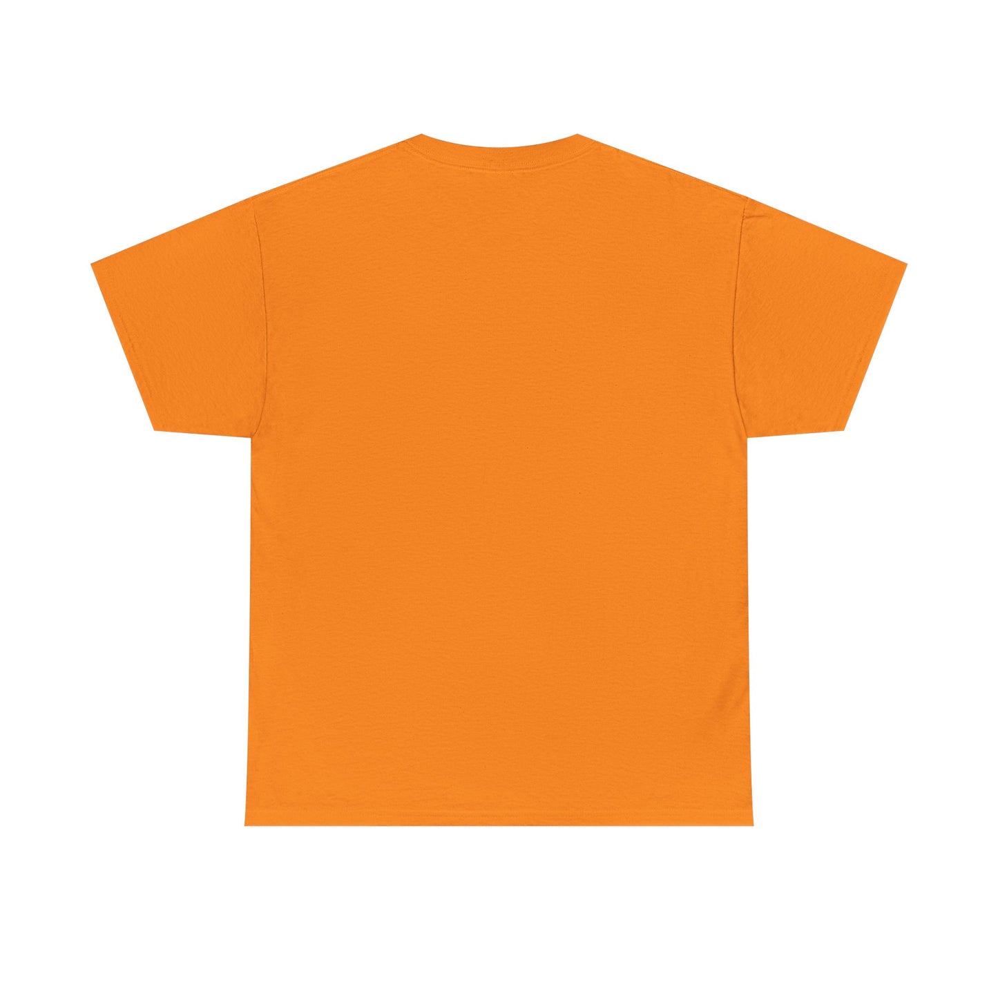 Crash Out Unisex Heavy Cotton Tee