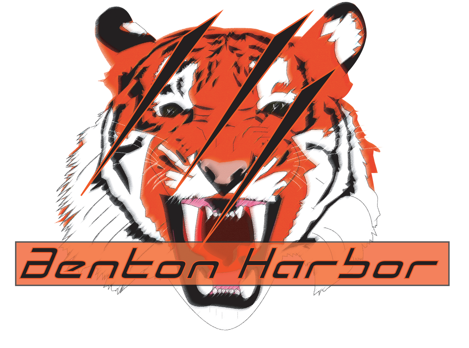 Benton Harbor Tigers